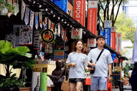 Korean tourists on Ho Chi Minh City's book street (Photo: VNA)