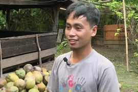 Philippine coconut growers face big challenges