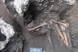 A grave excavated in the Bau Du site in Quang Nam province in 2017 (Source: Southern Institute of Social Sciences)