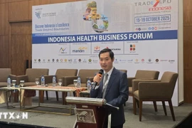 Dr. Nguyen Phuc Nam, Deputy Director of the MoIT’s Department of International Market Development speaks at the forum. (Photo: VNA)