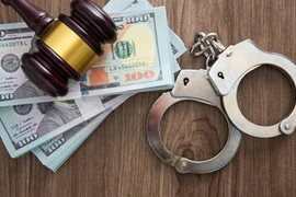 Illustrative photo (Photo: VGP)