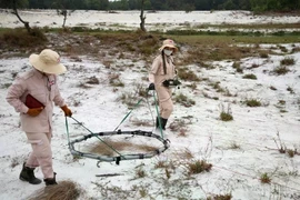 A bomb and mine clearance activity in Quang Tri province. (Photo: VNA)