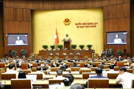 At the session (Photo: VNA)