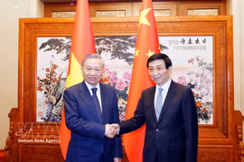 General Secretary of the Communist Party of Vietnam Central Committee and President of Vietnam To Lam (L) meets with Chairman of the National Committee of the Chinese People's Political Consultative Conference Wang Huning in Beijing on April 14. (Photo: VNA)