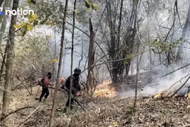 Air pollution in northern Thailand remains at alarming levels