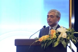 Nguyen Minh Hong, Chairman of the Vietnam Digital Communications Association (Photo: VNA)