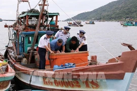 Owners of fishing vessels sign commitments against IUU fishing. (Photo: VNA)