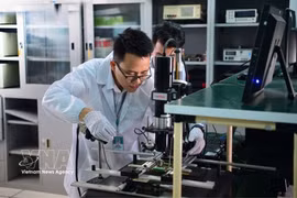 Technology companies place growing emphasis on compliance with intellectual property laws. (Illustrative photo: VNA)
