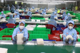 Workers sort rice papers at Tan Nhien Co. Ltd. in Tay Ninh province. (Photo: VNA)