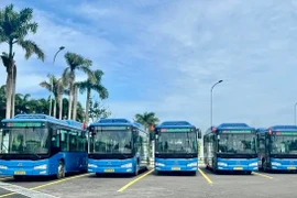 The first electric bus route will be launched in Con Dao in December. (Illustrative photo: SGGP)