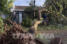 Heavy rains from November 3-7disrupt production and daily life - Illustrative image (Photo: VNA)
