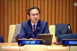 Ambassador Do Hung Viet, Permanent Representative of Vietnam to the UN, speaks at the plenary debate themed “The rule of law at the national and international levels” hosted by the 80th UN General Assembly’s Legal Committee. (Photo: VNA) 