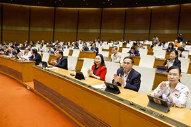The National Assembly votes to pass the amended Law on Public Employees. (Photo: NA)
