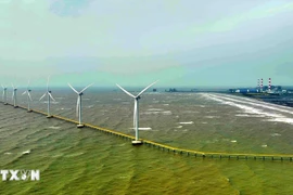 A view of a wind power plant in Tra Vinh (Photo: VNA)