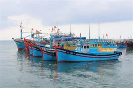 In line with the 2017 Fisheries Law, Binh Thuan is focusing on restructuring its offshore fishing fleet, improving support for fishermen, and implementing national strategies to combat IUU fishing. (Photo: VNA)