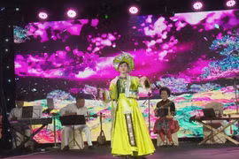 A performance at the programme. (Photo: VNA)