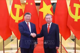 Party General Secretary To Lam (right) and General Secretary of the Communist Party of China (CPC) Central Committee and President of China Xi Jinping (Photo: VNA)