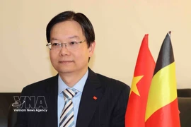 Tran Ngoc Quan, Trade Counsellor and head of the Vietnam Trade Office in Belgium and the EU (Photo: VNA)