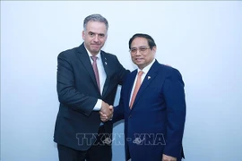 Prime Minister Pham Minh Chinh (R) meets with President of Uruguay on the sidelines of the expanded BRICS summit in Rio de Janeiro on July 7 (local time). (Photo: VNA)
