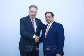Prime Minister Pham Minh Chinh (R) meets with President of Uruguay on the sidelines of the expanded BRICS summit in Rio de Janeiro on July 7 (local time). (Photo: VNA)