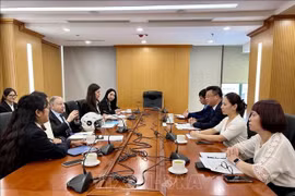 During the working session (Photo: VNA)