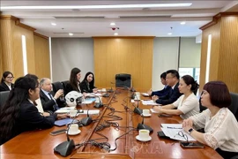 During the working session (Photo: VNA)