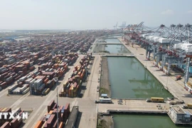 Cai Mep-Thi Vai port in Ho Chi Minh City. (Photo: VNA)