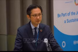 Permanent Representative of Vietnam to the UN Ambassador Do Hung Viet speaks at the 2025 High-level Political Forum on Sustainable Development (HLPF) in New York on July 22, 2025. (Photo: VNA)