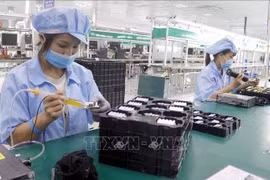 FDI inflows into Vietnam are predicted to remain strong, particularly in high-value sectors. (Illustrative photo: VNA)