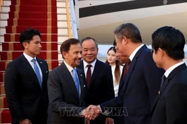Sultan of Brunei Haji Hassanal Bolkiah arrives in Hanoi on November 30 afternoon. (Photo: VNA)