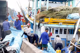 Fishermen prepare to go offshore (Photo: VNA)
