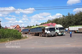 At Xa Mat international border gate (Photo: VNA)