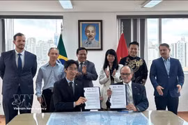 Delegates at the signing ceremony of the MoU between the Brazil–Vietnam Chamber of Commerce (BVC) and the Espirito Santo Chapter of the Brazil–Vietnam Chamber of Commerce and Industry (CCBV-ES). (Photo courtesy of the Vietnamese Embassy in Brazil)