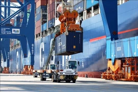 Loading and unloading import and export goods at Gemalink International Port (Photo: VNA)