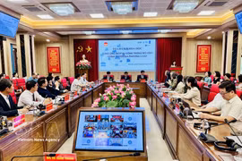 An overview of the seminar held in Hanoi on May 12 (Photo: VNA)