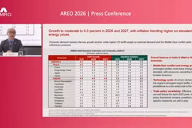 AMRO Chief Economist Dong He said Vietnam handles last year’s tariff shock relatively well. (Photo: Screenshot)
