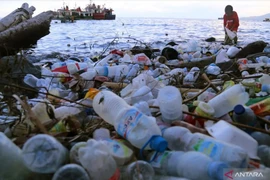 Illustrative photo (Photo: Antara)