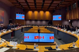 An overview of the JEC 3's third meeting (Photo: VNA)