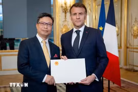 Vietnamese Ambassador to France Trinh Duc Hai (L) presents his credentials to French President Emmanuel Macron in March 2026. (Photo published by VNA)