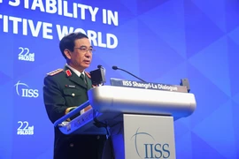 Vice Secretary of the Central Military Commission and Minister of National Defence Gen. Phan Van Giang speaks at the event (Photo: VNA)
