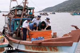 Officers disseminate regulations on fisheries to vessel owners. (Photo: VNA) 
