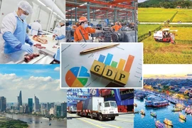 A large-scale exhibition highlighting Vietnam’s socio-economic achievements will be held in celebration of the 80th anniversary of National Day (Source: baochinhphu.vn)