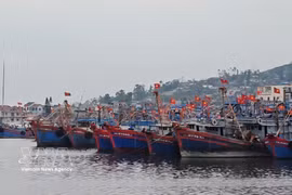 A section of the vessel anchorage area at the Lach Bang fishing port in Thanh Hoa. (Photo: VNA)