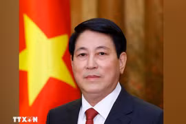 State President Luong Cuong (Photo: VNA)