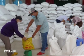 Distributing rice to people in need in Dak Lak province. (Photo: VNA)