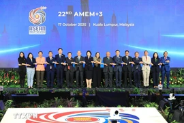 Delegates attend the ASEAN+3 Ministers on Energy Meeting. (Photo published by VNA)