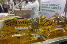 Indonesia expands social assistance programme