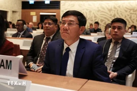 Deputy Auditor General of Vietnam Doan Anh Tho (Photo: VNA)