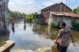 A man wheels a wheelbarrow down a residential street in Tirto district, Pekalongan, a city of Central Java, Indonesia, amid tidal flooding (Photo: Pekalongan city Government)