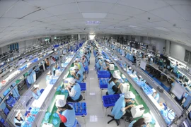 An electronic production line of the Suntech company at the Thanh Van Industrial Cluster (Photo: VNA)